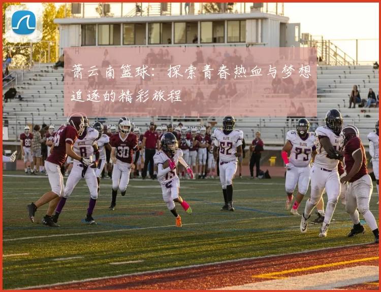 萧云南篮球：探索青春热血与梦想追逐的精彩旅程