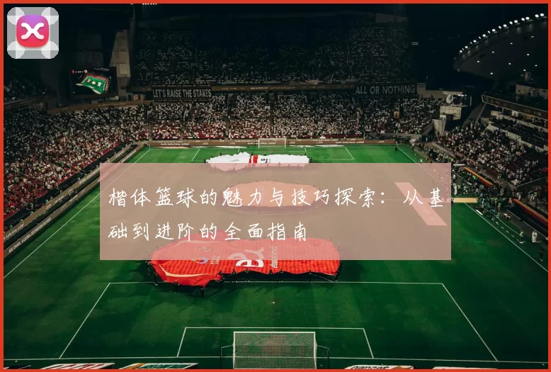 楷体篮球的魅力与技巧探索：从基础到进阶的全面指南