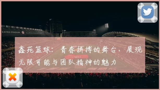 鑫苑篮球：青春拼搏的舞台，展现无限可能与团队精神的魅力