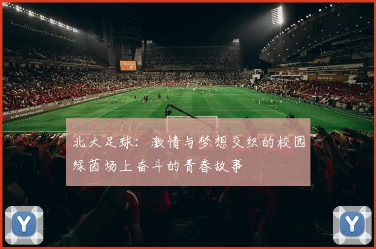 北大足球：激情与梦想交织的校园绿茵场上奋斗的青春故事